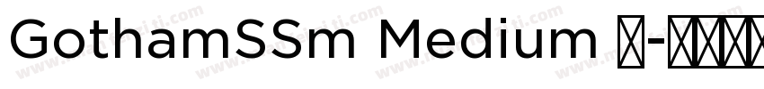 GothamSSm Medium 中字体转换